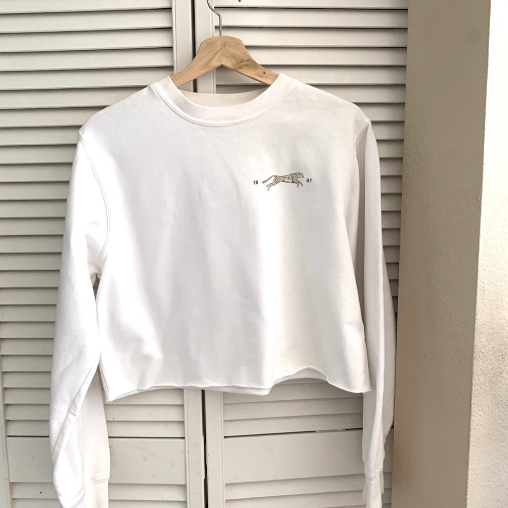 Cute Brandy Melville cropped crew neck sweatshirt